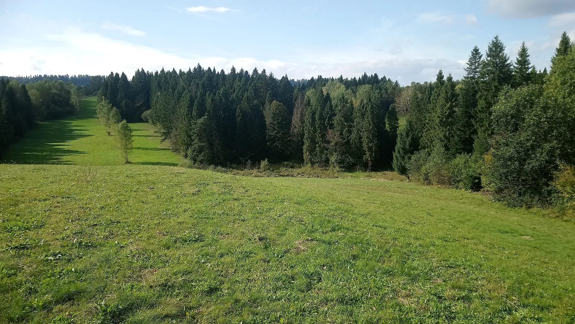 widok