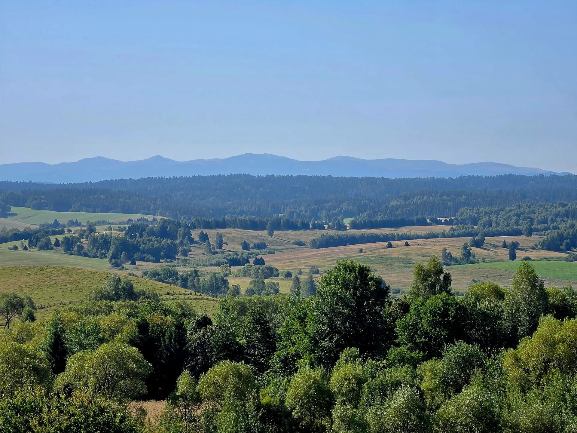 widok na Biesczady