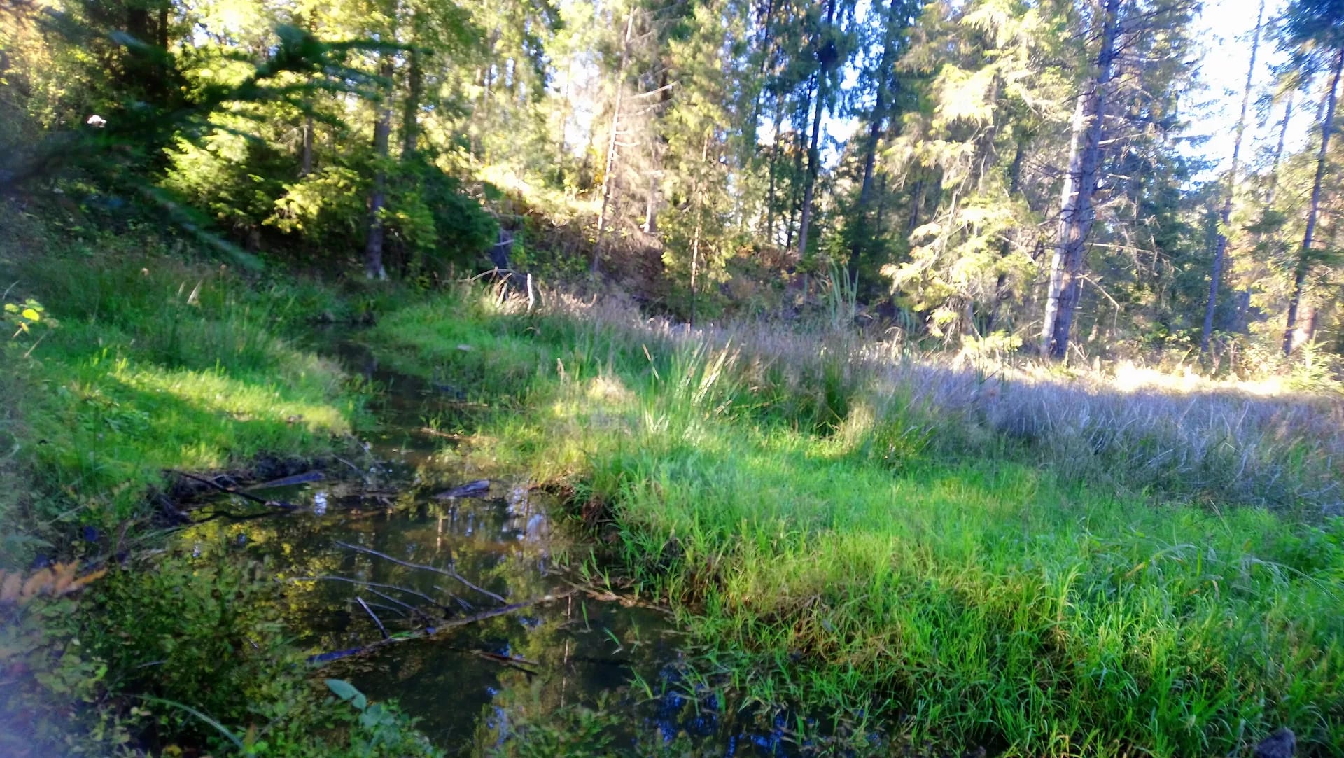 żeremie bobrów