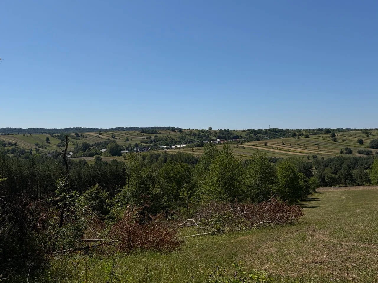 Krajobraz Roztocza