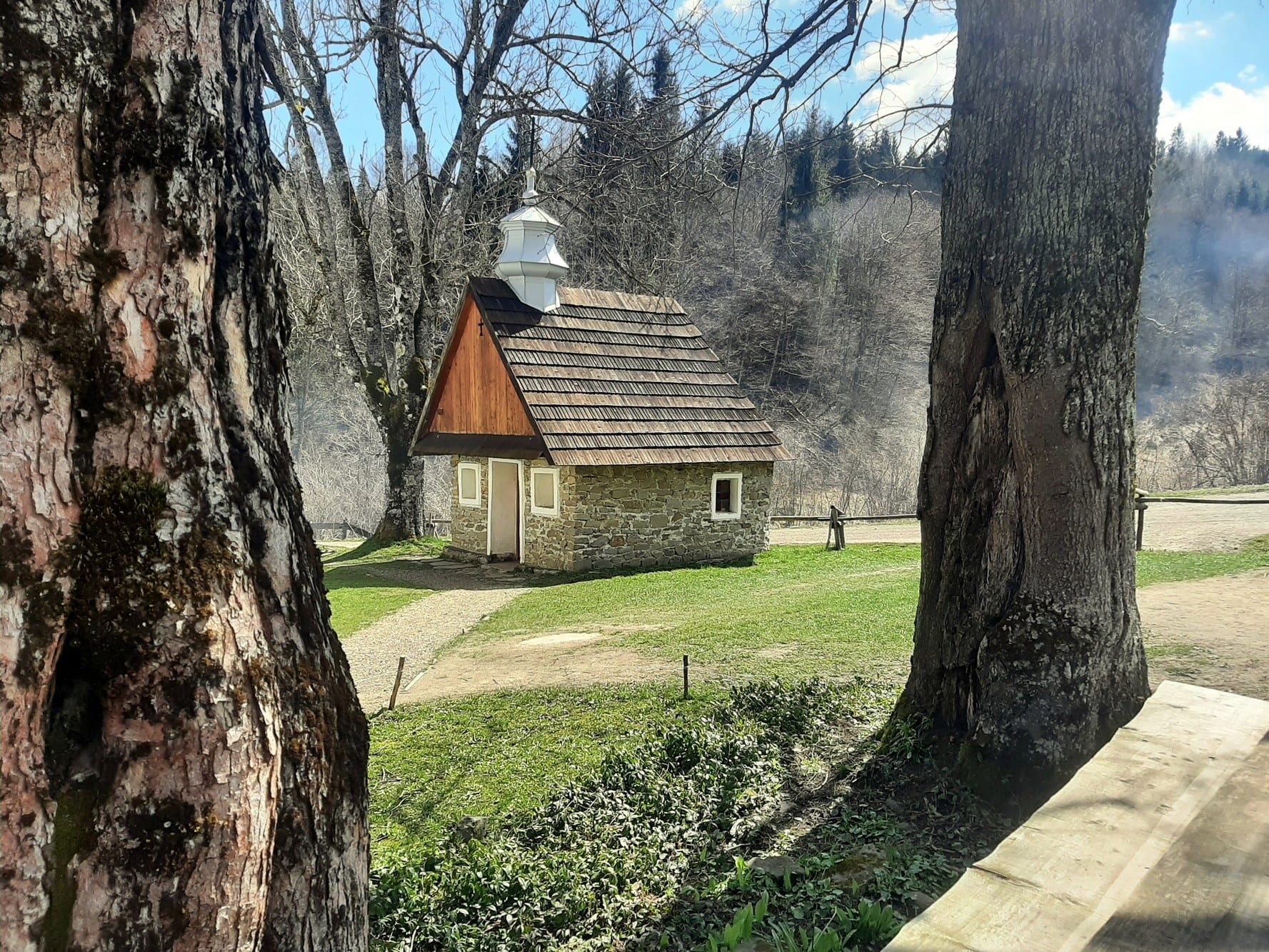 Łopienka