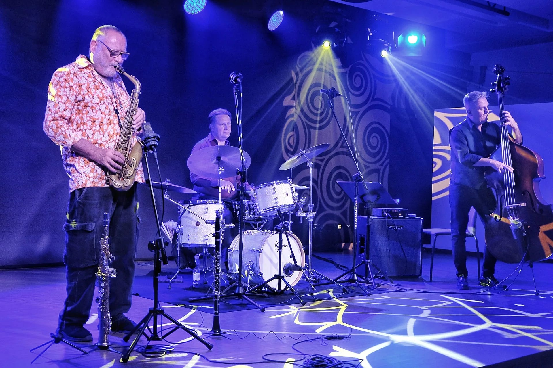 Gilad Atzman Trio podczas koncertu w Strzyąowie na Podkarpaciu