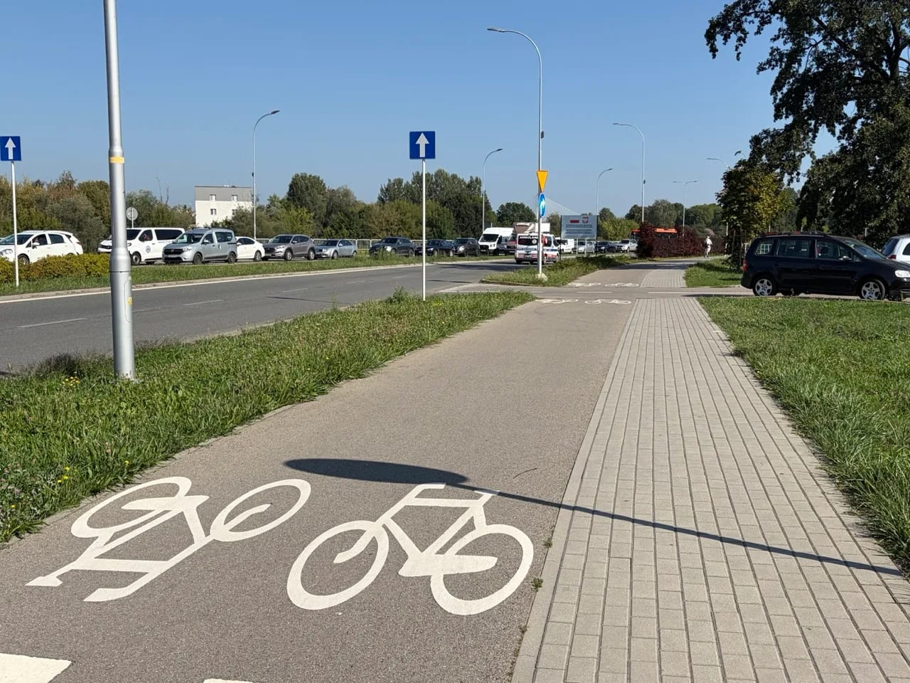 Asfaltowa droga rowerowa