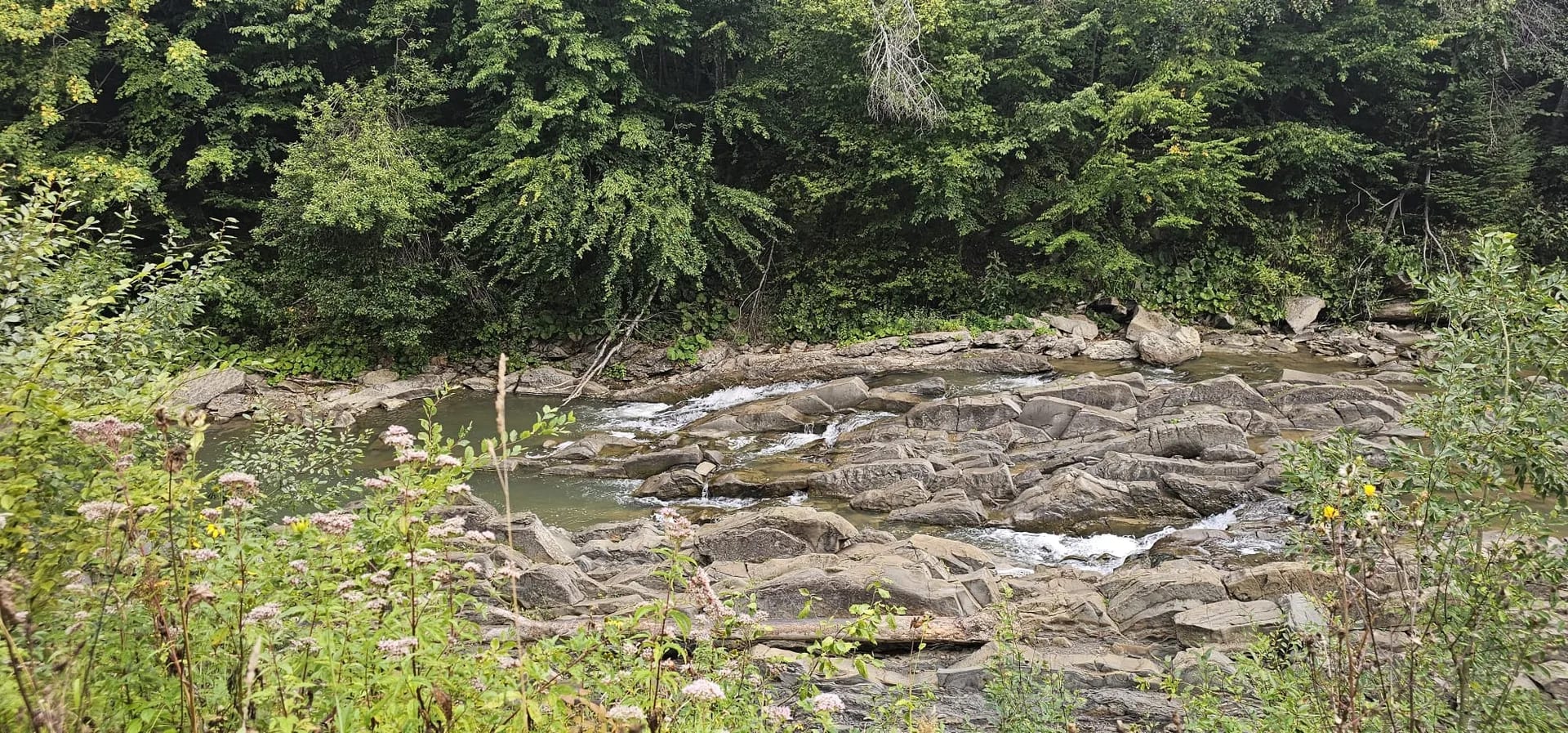 sine wiry bieszczady
