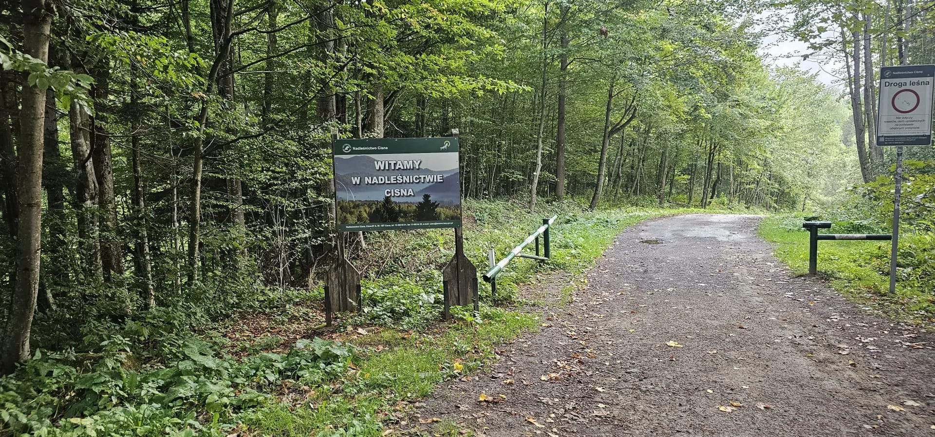 sine wiry bieszczady