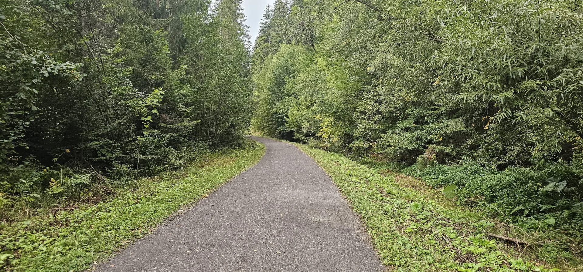 sine wiry bieszczady