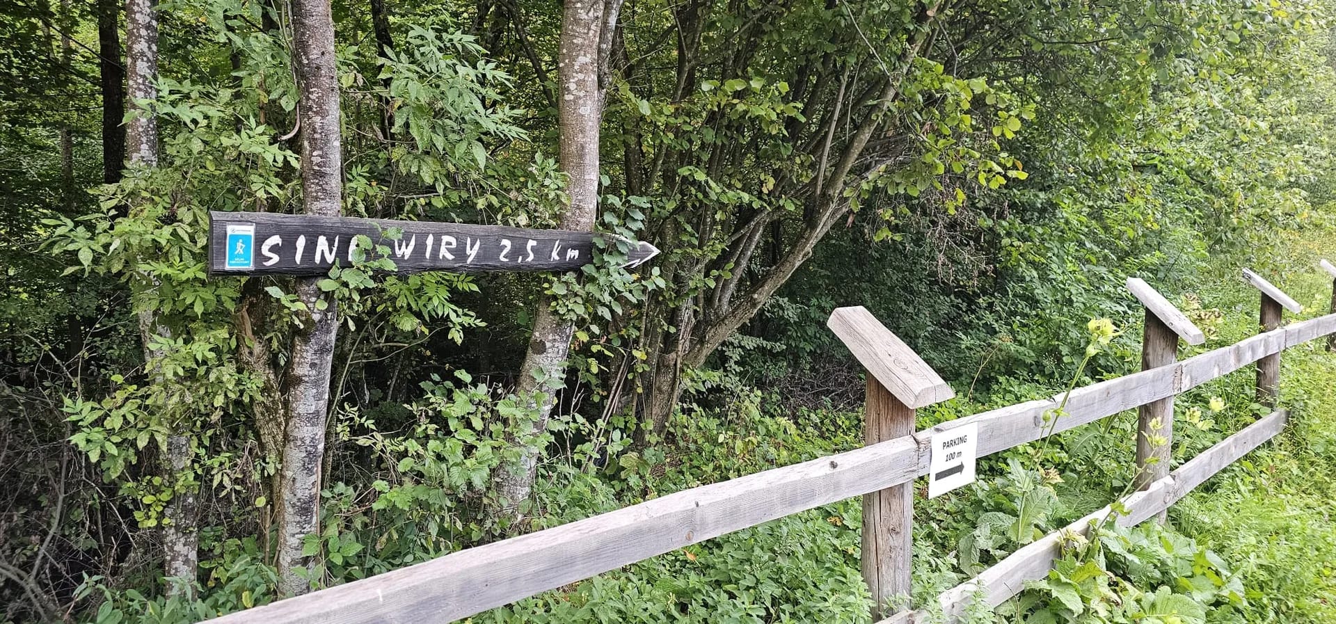 sine wiry bieszczady