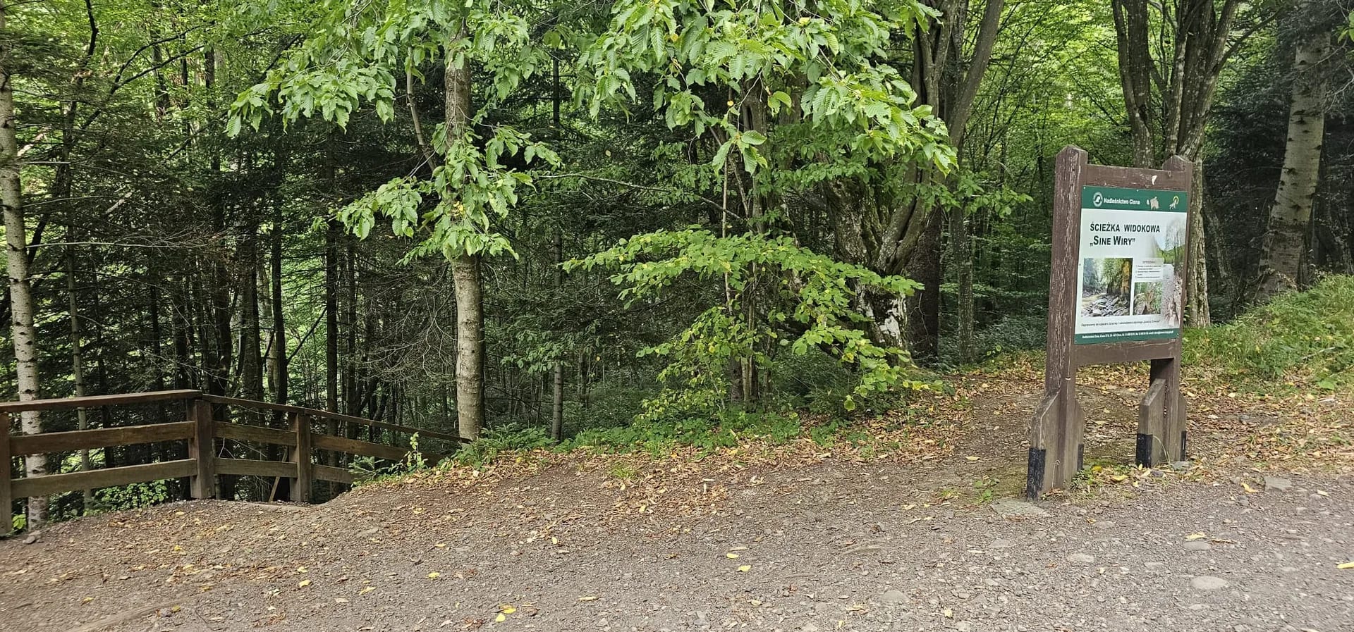 sine wiry bieszczady