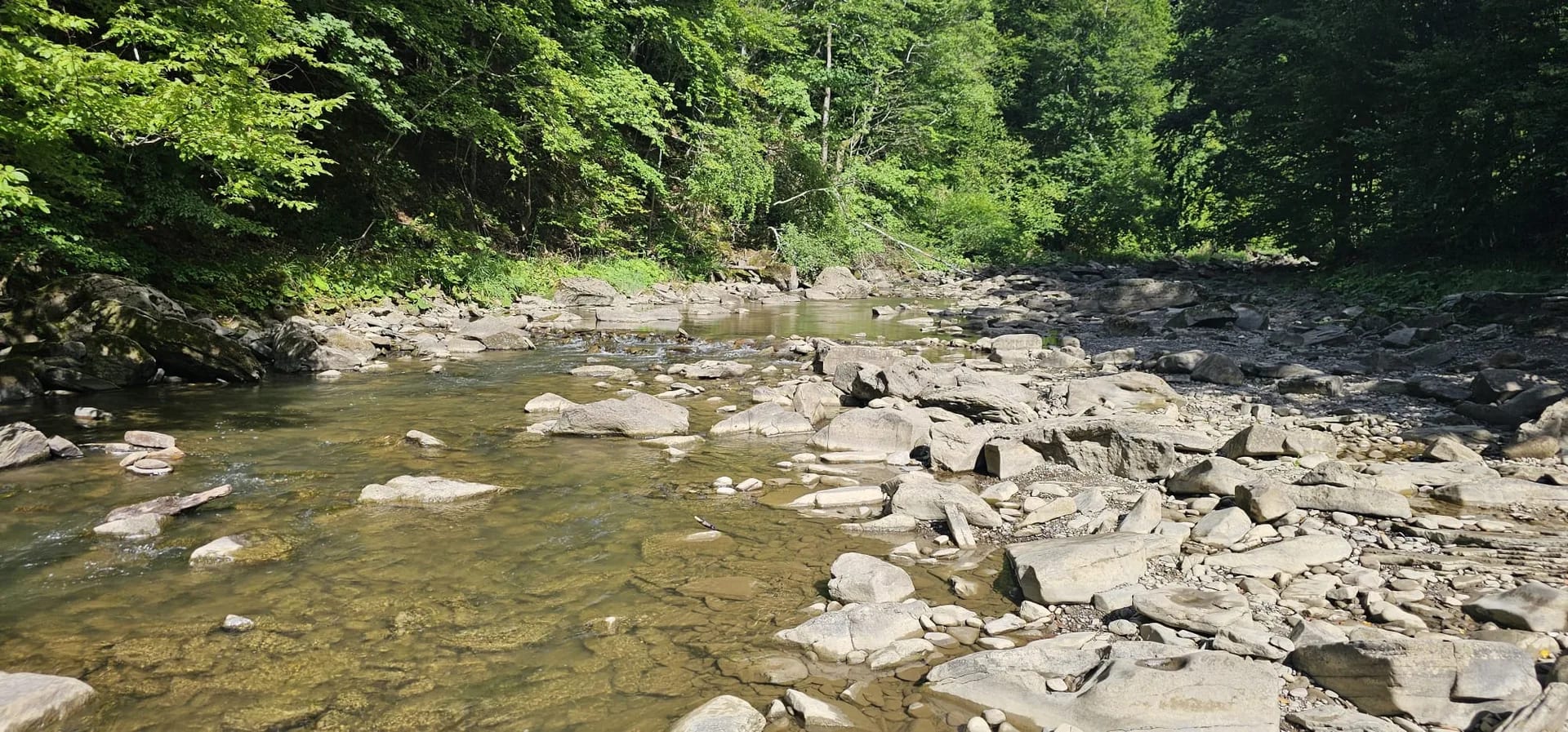 sine wiry bieszczady