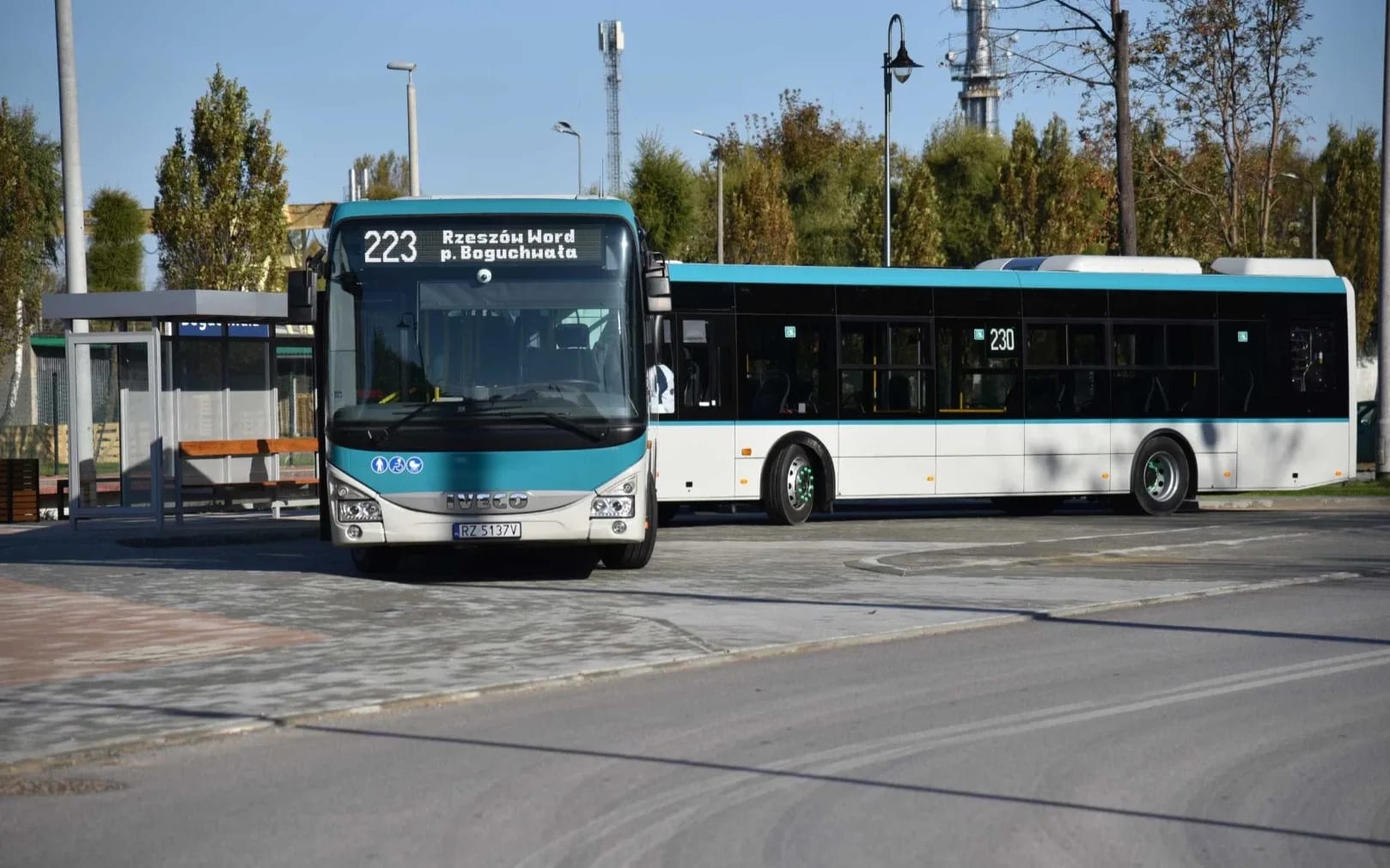 niebieski autobus
