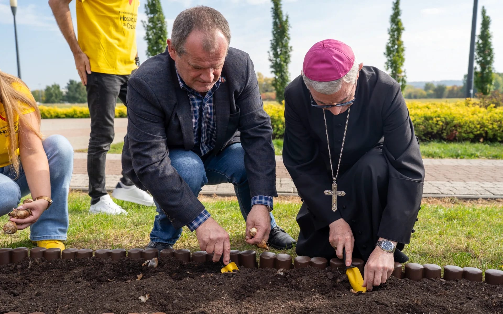 pola dzieci żonkile