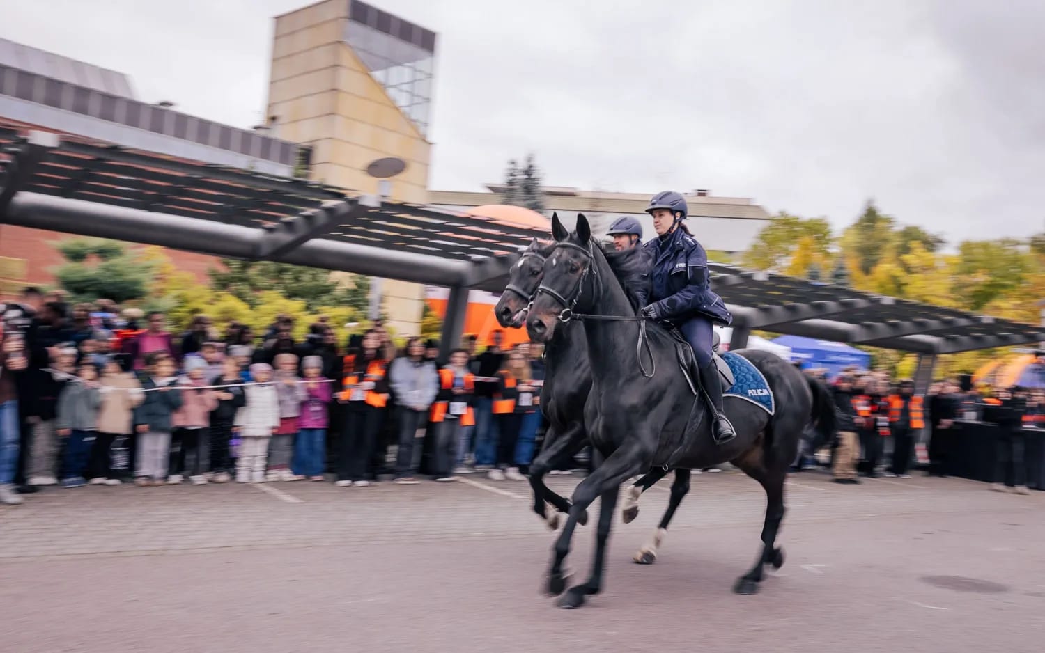 policja konna na pokazie