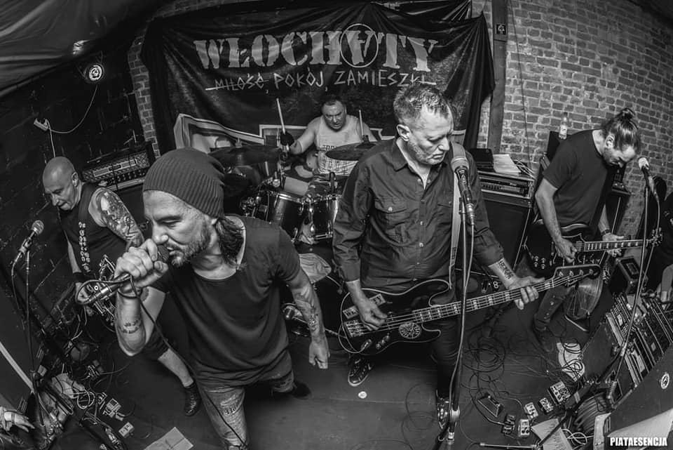 Koncert punkowego zespołu