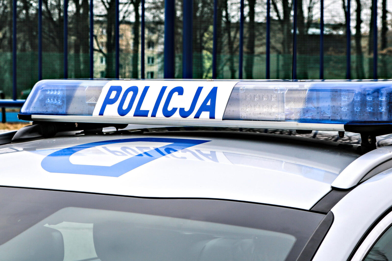 Światła policyjnego radiowozu na tle drzew w parku miejskim.