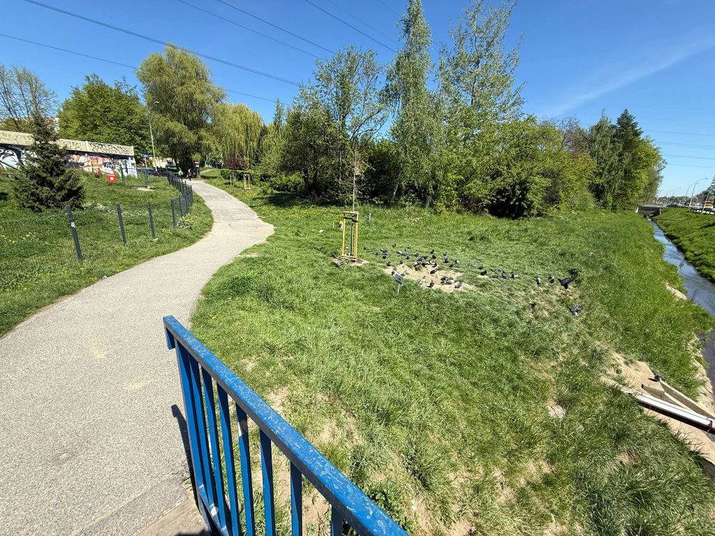potok Baranówka