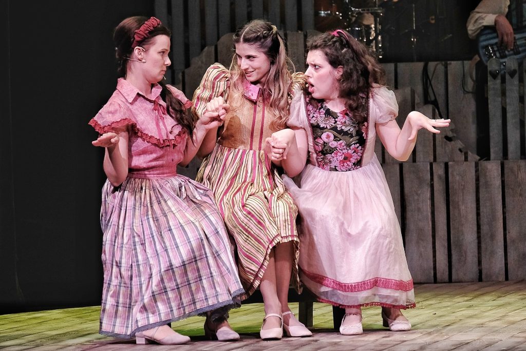 Dzieci z Bullerbyn w Teatrze im. Wandy Siemaszkowej w Rzeszowie