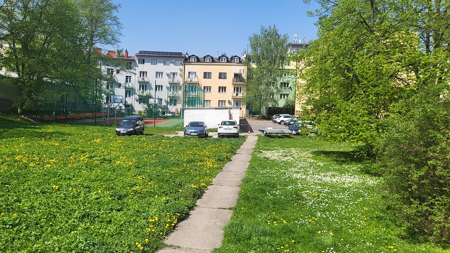 samochody zaparkowane na trawnikach