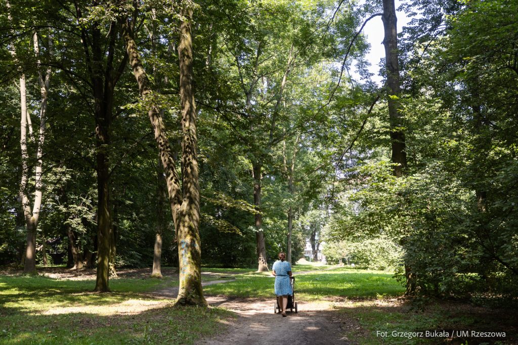 kobieta z wózkiem idzie przez park w Rzeszowie