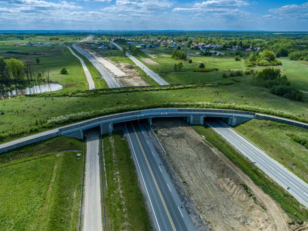most dla zwierząt na trasie Via Carpathia