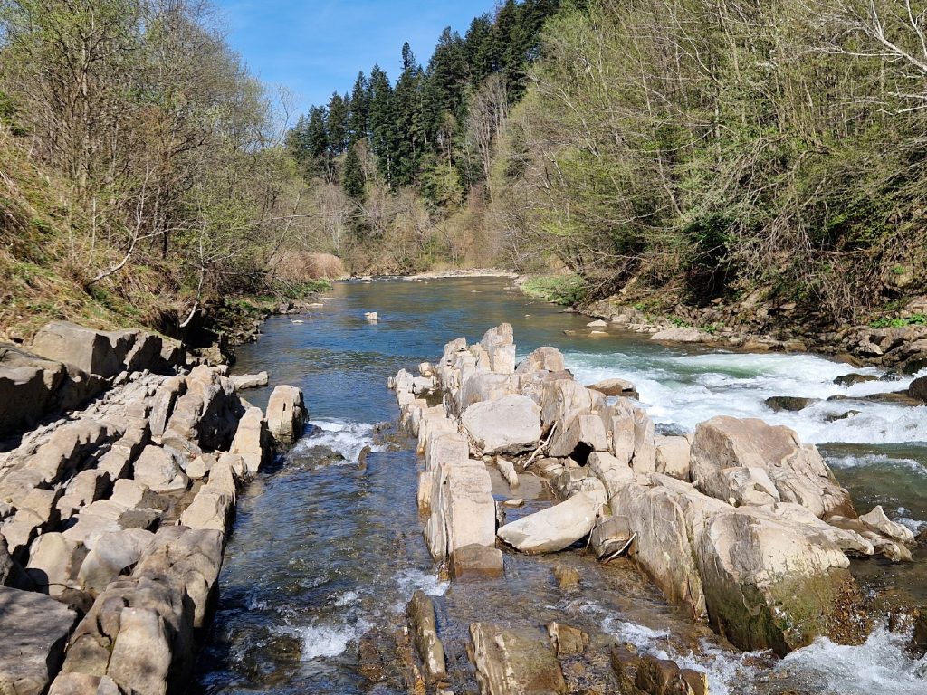 Rezerwat Sine Wiry w Bieszczadach