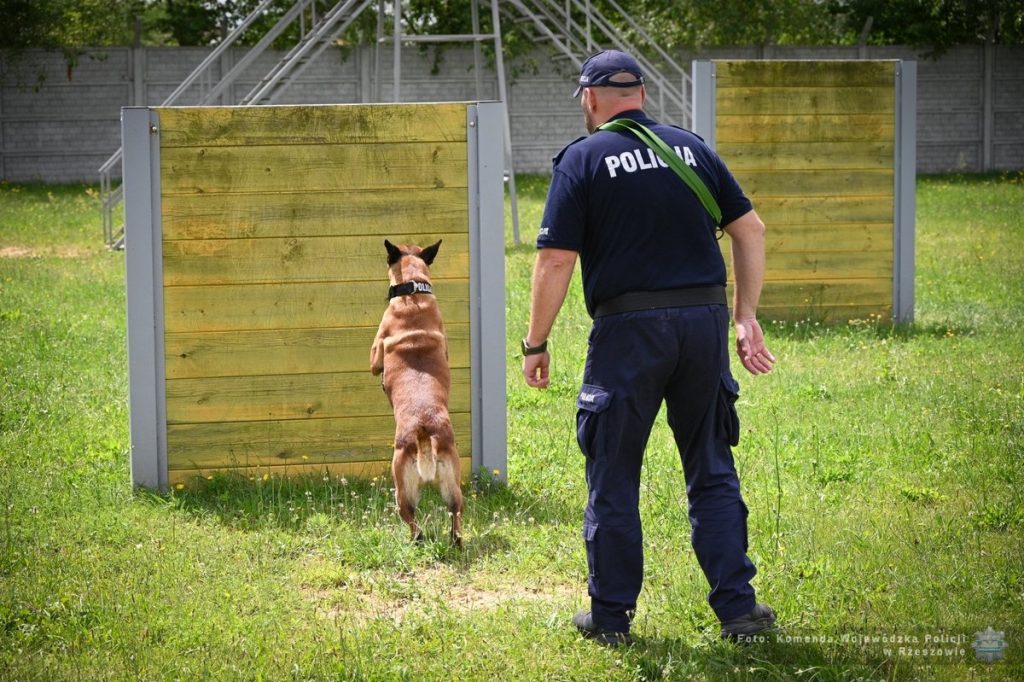Zawody psów policyjnych w Rzeszowie