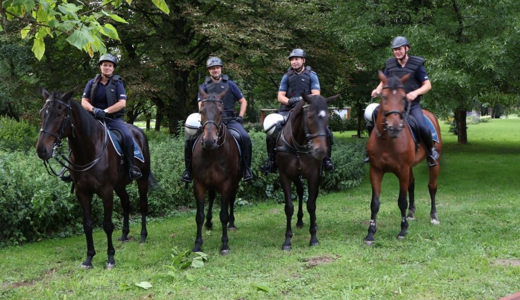 Policjanci na koniach
