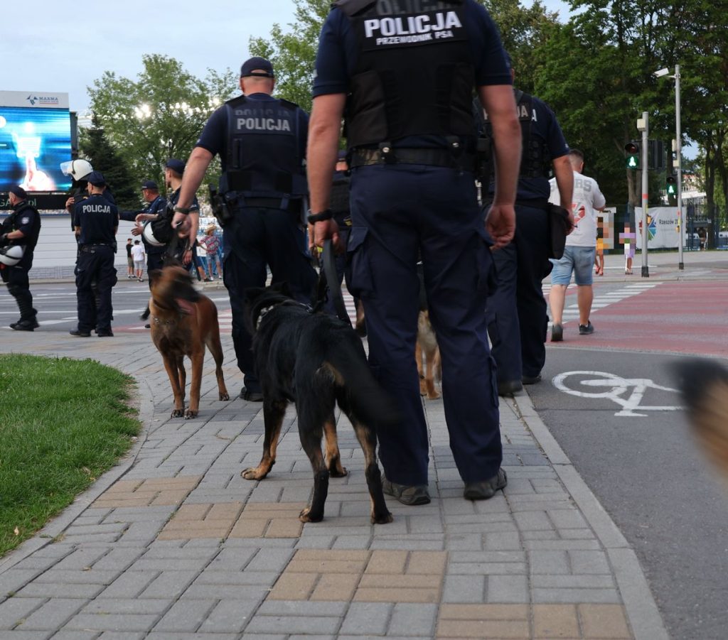 Policjanci z psami