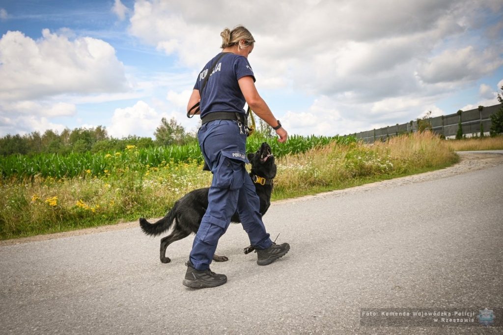 Policjantka prowadzi psa