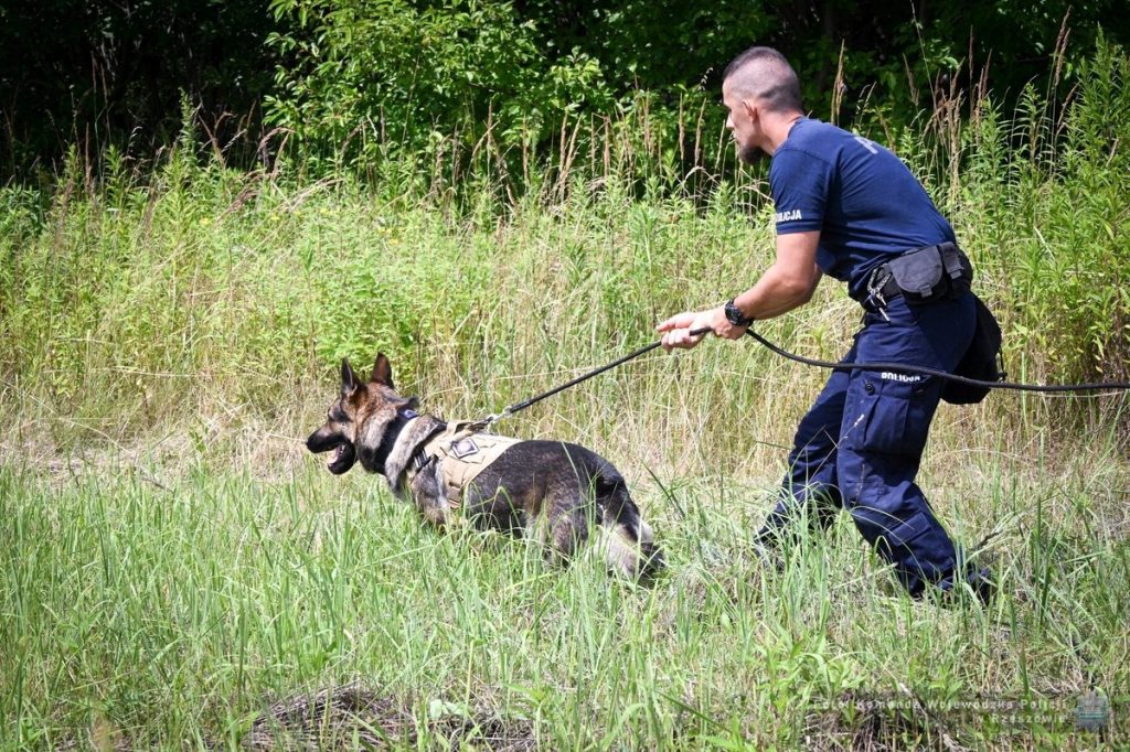 Pies i policjant
