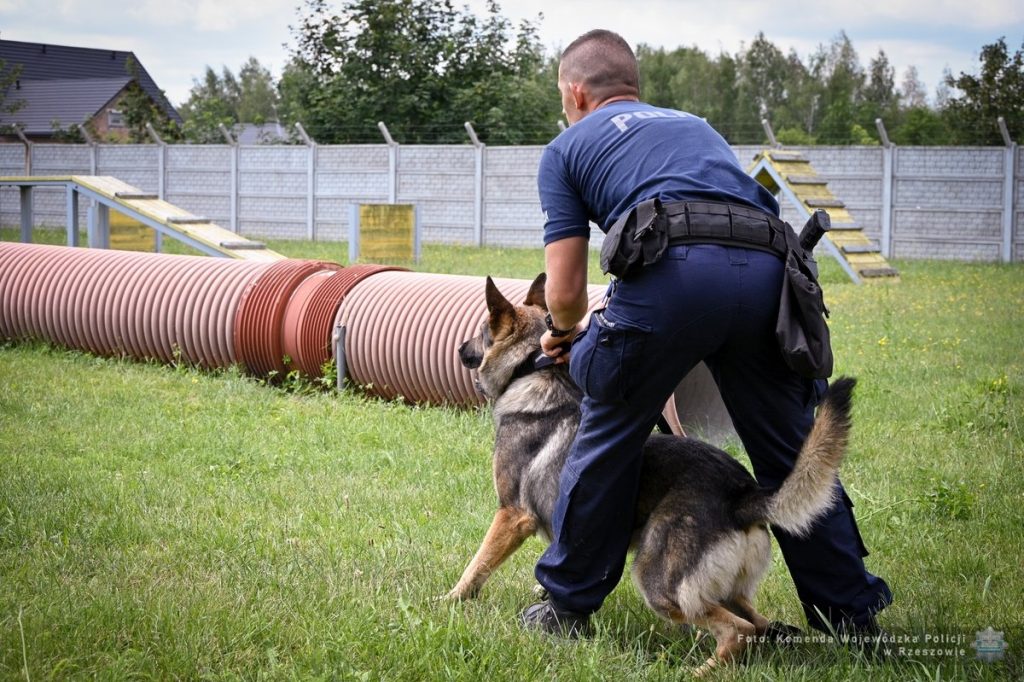Policjant z psem
