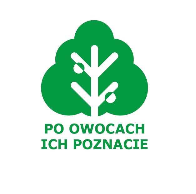 grafika zielonego drzewa