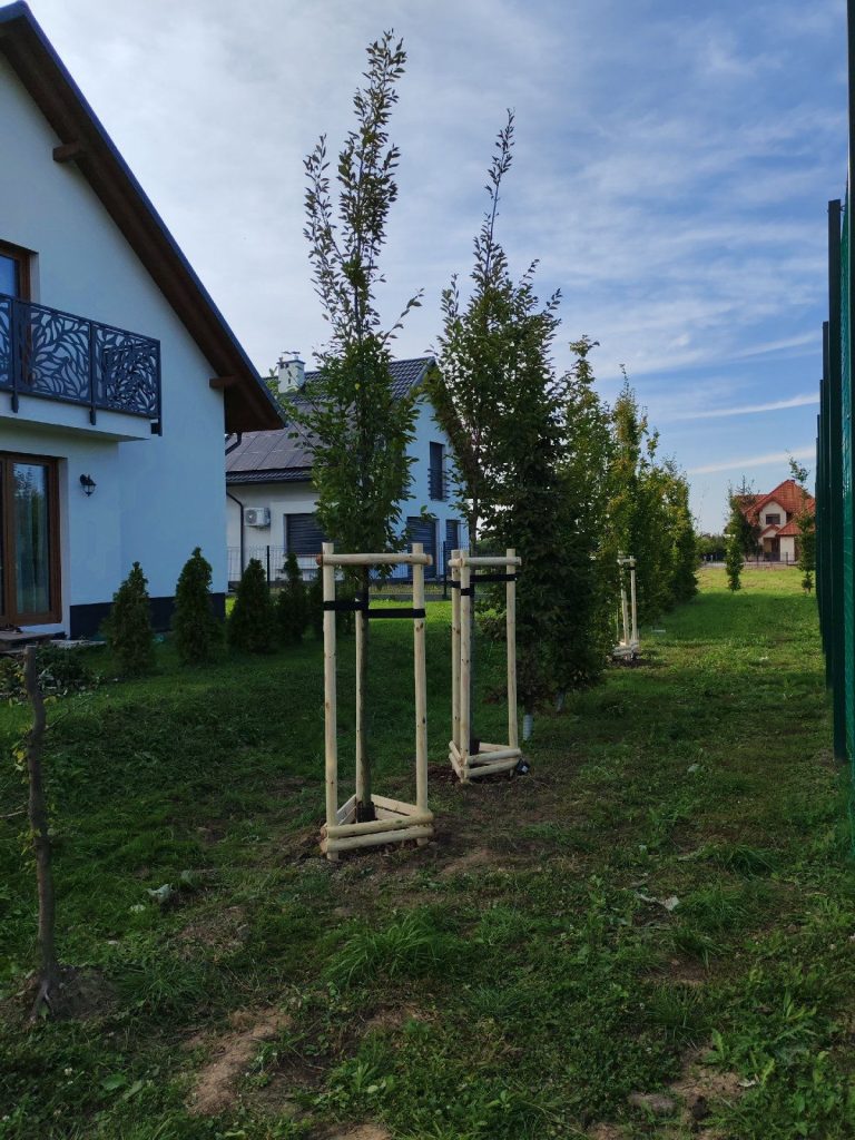 Graby przy Karola Wojtyły