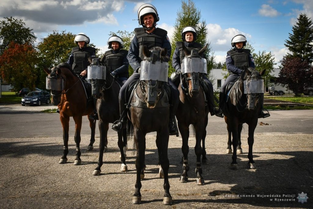 Policjanci na koniach