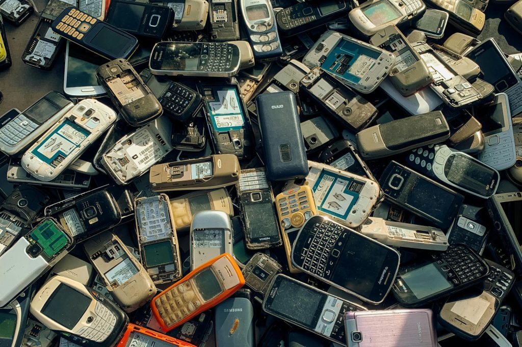 Warsztaty z elektroekologii