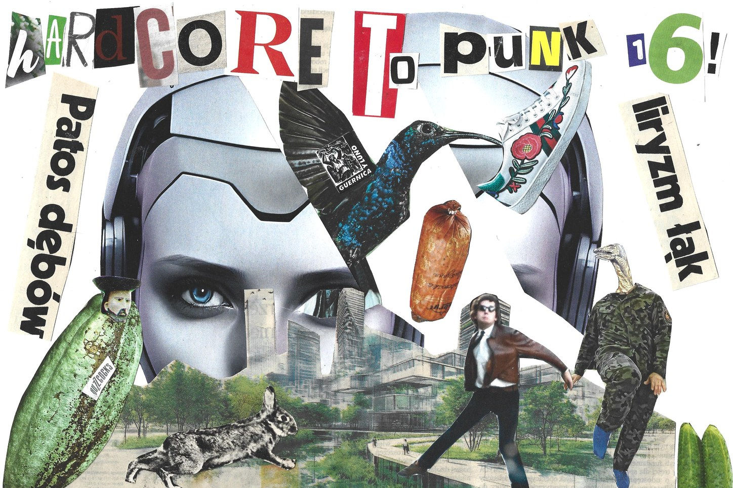 Hardcore to punk, vol. 16