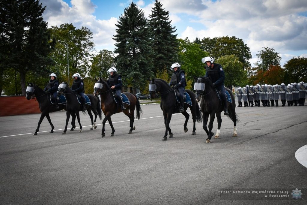 Policjanci na koniach