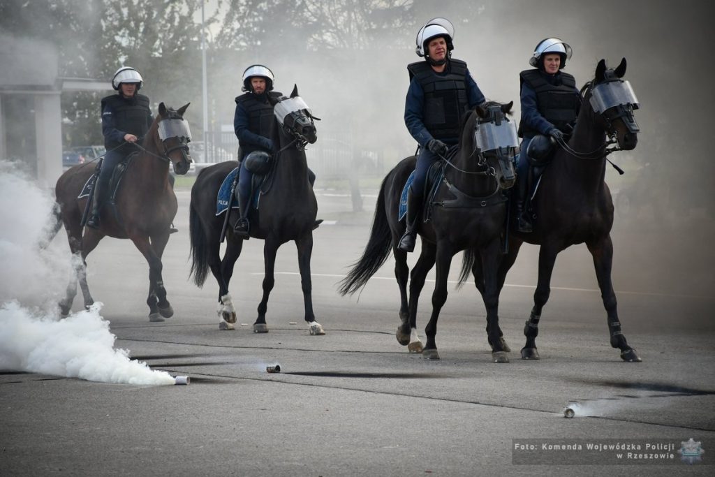 Szkolenie konnych patroli policji