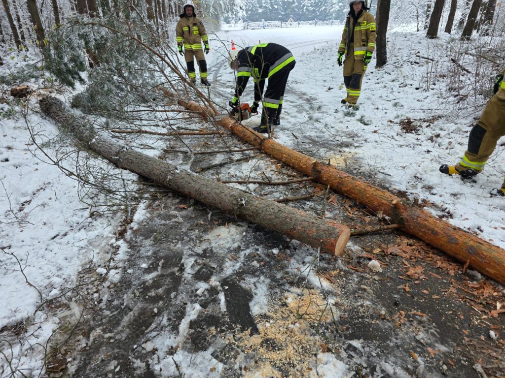 Podkarpaccy strażacy walczą ze skutkami zimy. | Fot. Komenda Wojewódzka PSP w Rzeszowie 