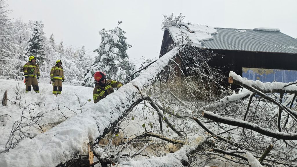 Podkarpaccy strażacy walczą ze skutkami zimy. | Fot. Komenda Wojewódzka PSP w Rzeszowie 