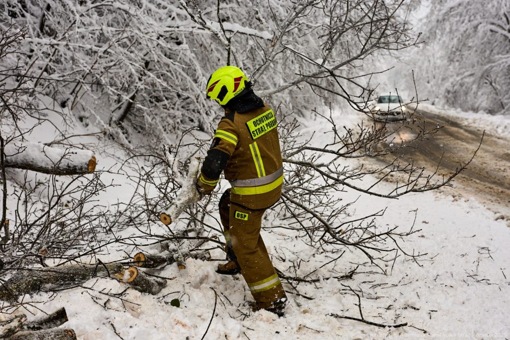 Strażak usuwa połamane gałęzie