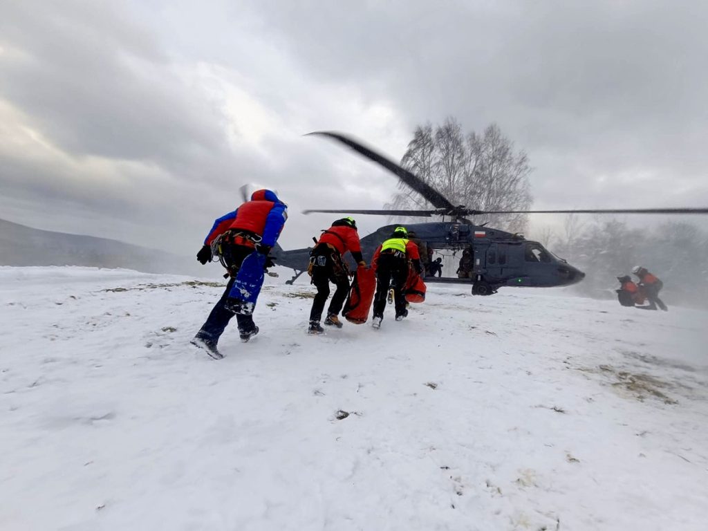 współdziałanie Policji, Straży Granicznej, PSP i GOPR. 