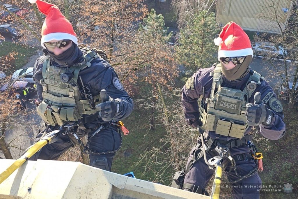 Policjanci na linach