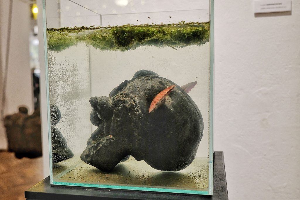 Bartosz Nalepa - cykl Ambasadorowie