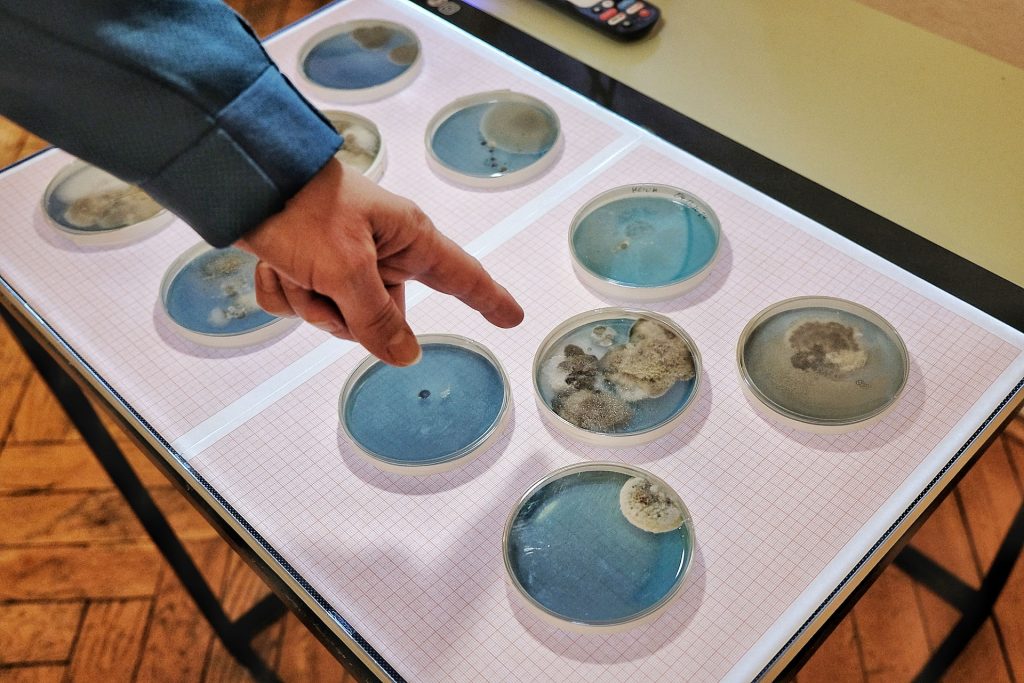 Z cyklu ODCISKI PALCÓW. | Fot. Wit Hadło