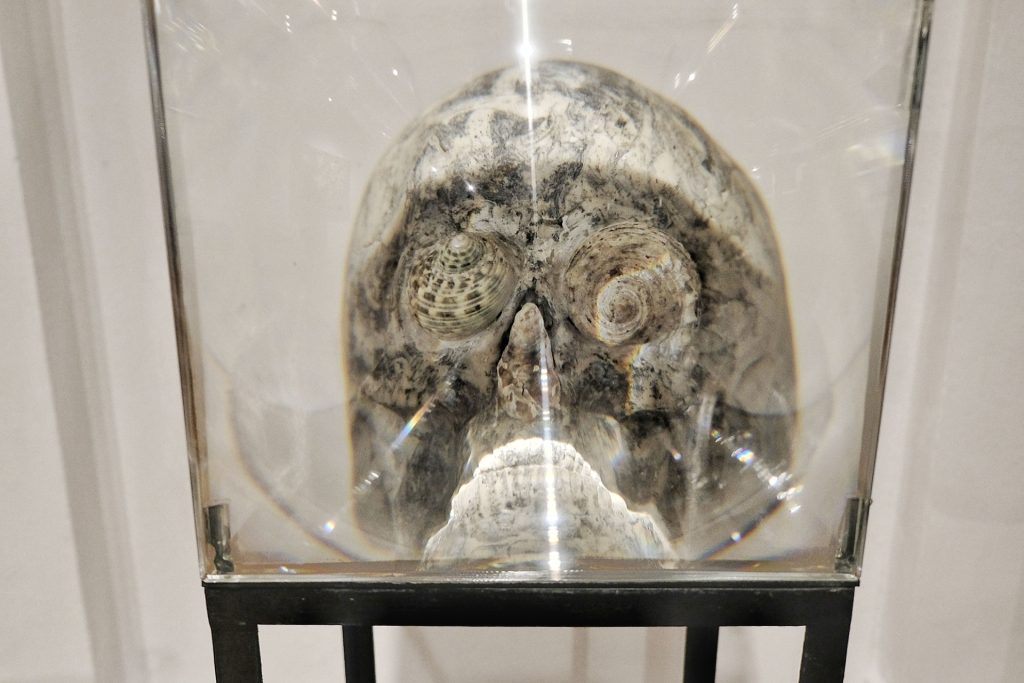 Okamgnienie - Bartosz Nalepa