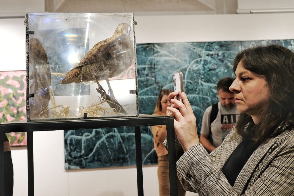 Wystawa Bartosza Nalepy "Dno lasu" w rzeszowie