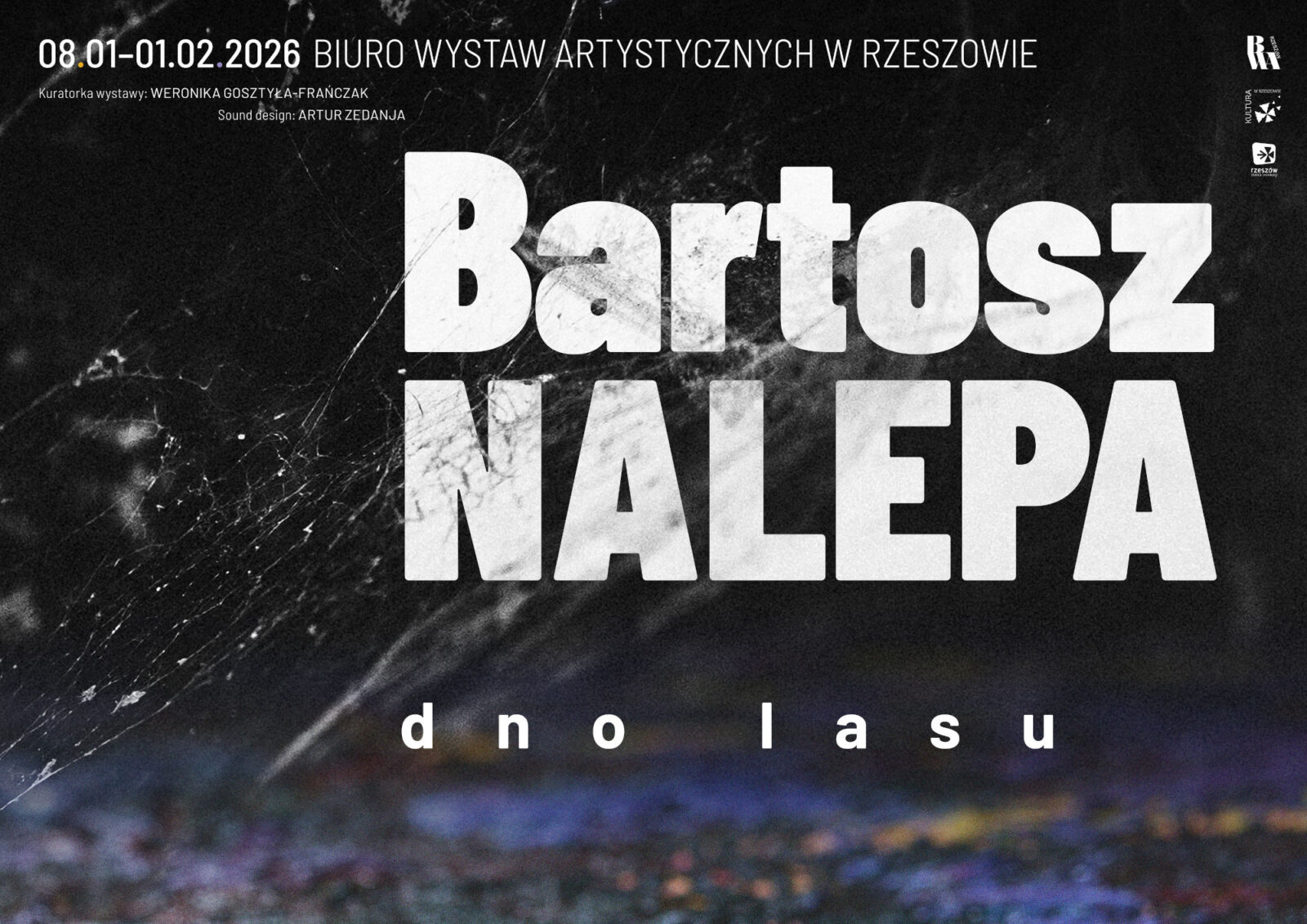 Bartosz Nalepa - "Dno lasu"