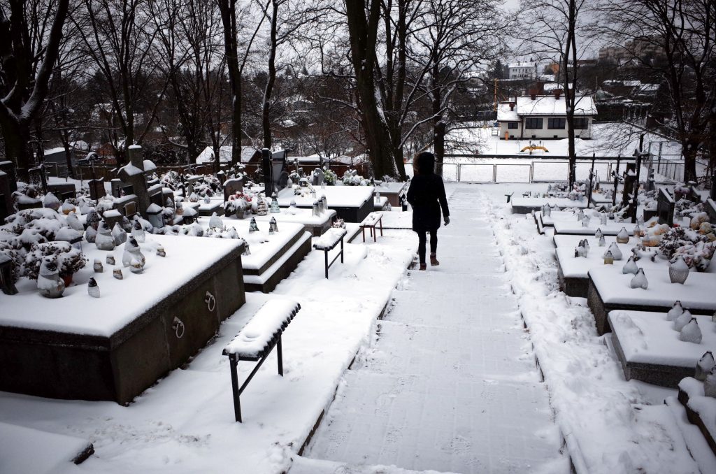 Cmentarz Wilkowyja w Rzeszowie zimą