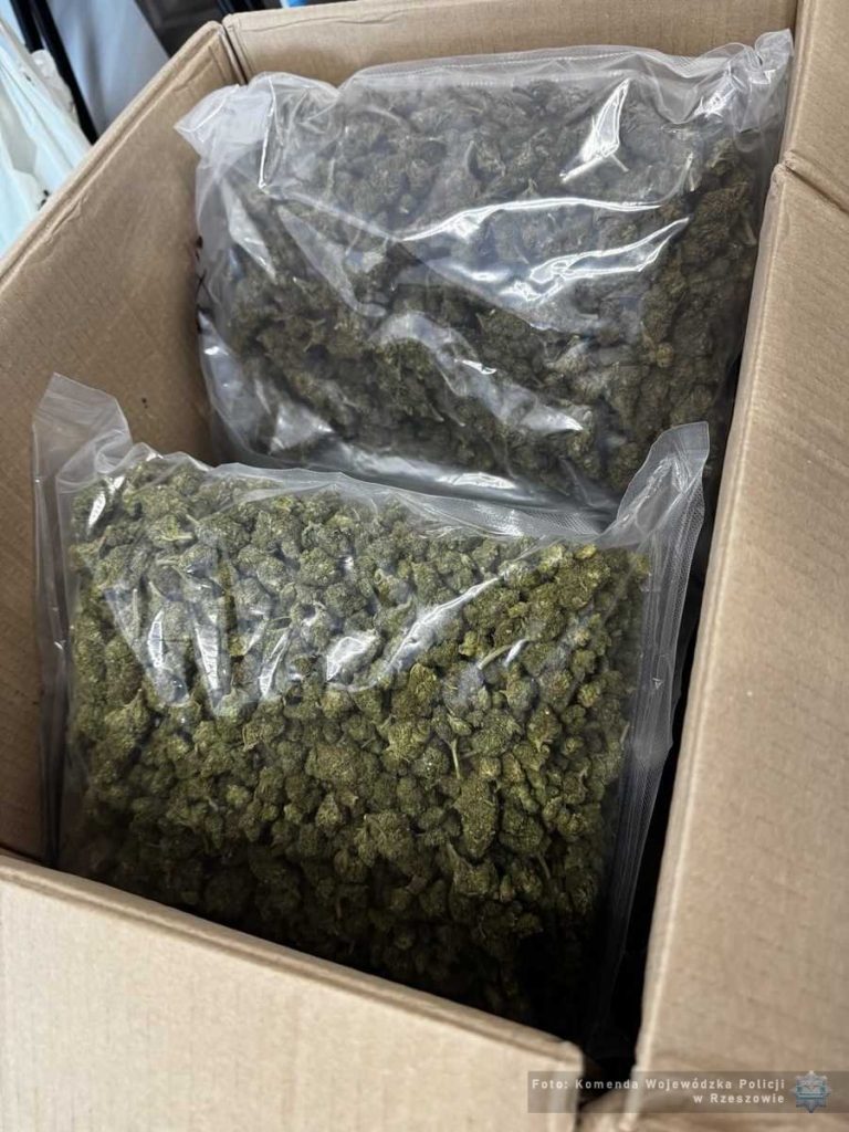 Narkotyki na Podkarpaciu