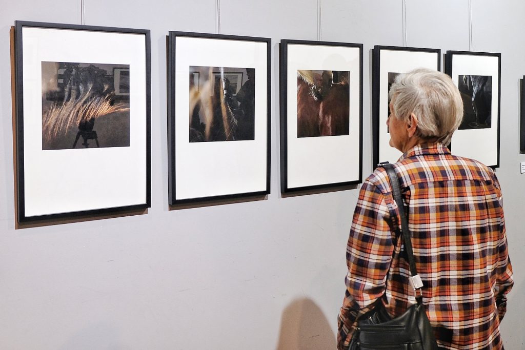 Podkarpacka Ikonosfera w WDK